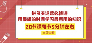 拼多多开店运营课程：用最短的时间学好拼多多运营-欢迎访问本站